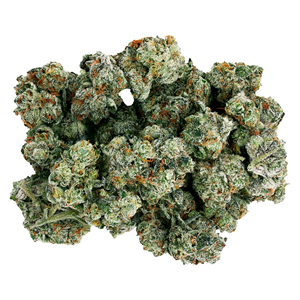Starting Point! | Frenchy Macaroni | 28g