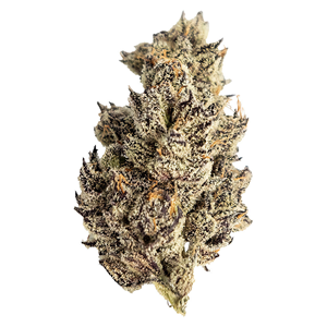 Seaweed Craft Cannabis - James' Celebration: Craft Small Batch Rotational - Hybrid - 3.5g