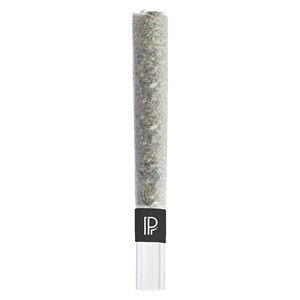 Pistol and Paris - Bubble Hash Infused Pre-Roll - Indica - 1x1g