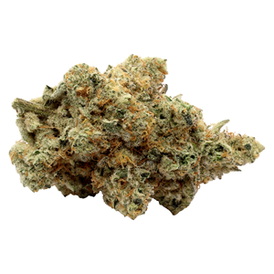 Les Cultures Seaweed Gaspésie Inc. - Animal Junky Premium Craft Dried Whole Flower - Sativa - 3.5g