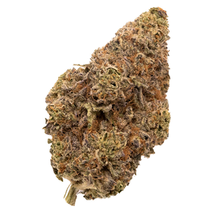 FIGR | Chatty Kathy | 3.5g