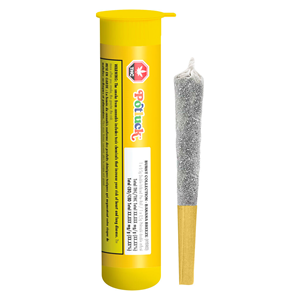 Potluck | Banana Breeze Infused | 1x0.5g